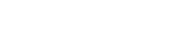 Media Royal Regenstauf - Logo Schriftzug